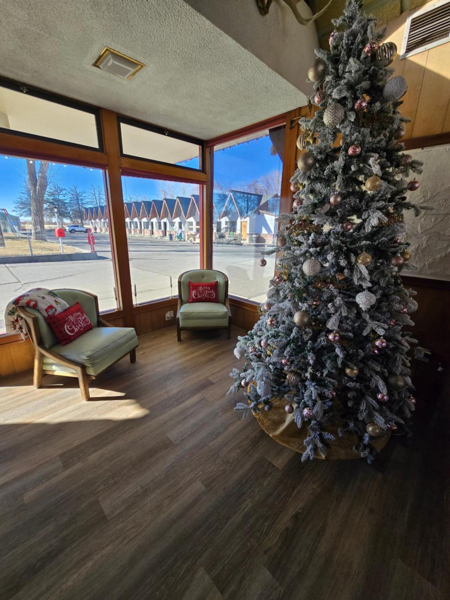 Scott Shady Court Motel Уиннемакка Экстерьер фото