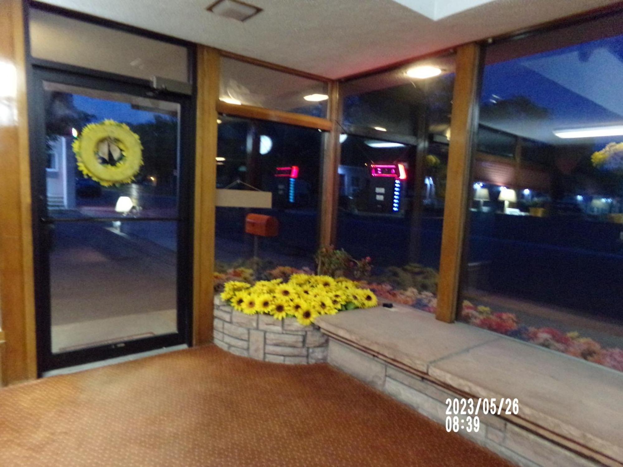 Scott Shady Court Motel Уиннемакка Экстерьер фото